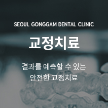 교정치료